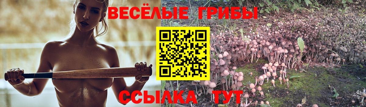 Галлюциногенные грибы Cubensis  Псилоцибиновые грибы GOLDEN TEACHER  Белгород  дарнет шоп  Вход с VPN 